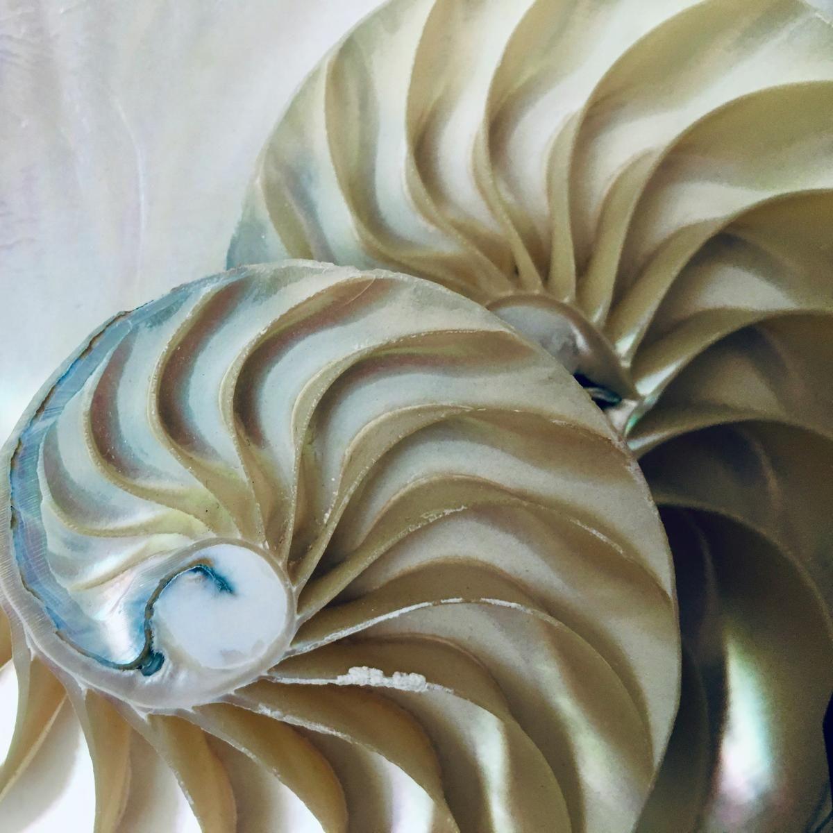 Steeds dezelfde patronen…