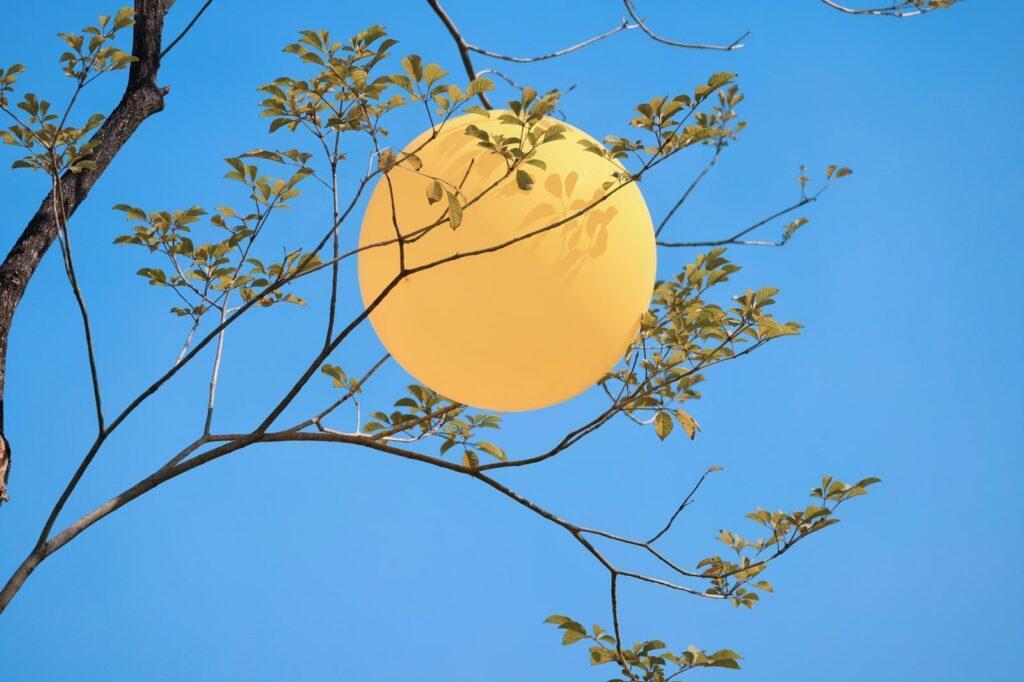 eerste hulp bij liefdesverdriet en gebroken hart